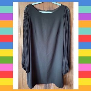 🎉HPx2🎉 WHBM Pleated Sleeve Dress.